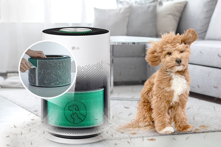 There is a Puricare air purifier, and three filters are seen filtering dust in front of it.