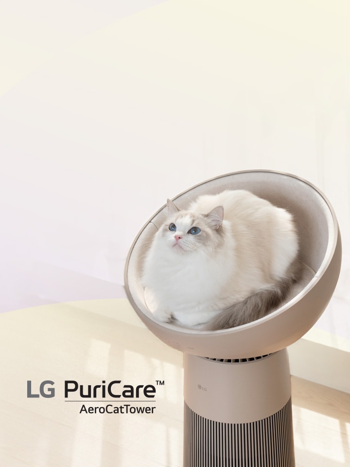 ２月２２日は猫の日！にゃんにゃんクーポン配布中！