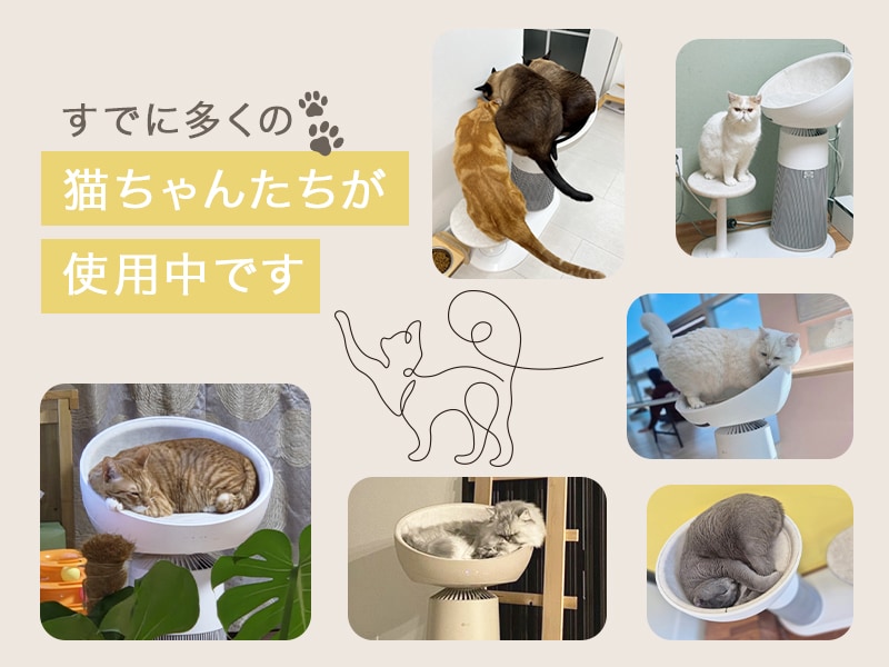 すでに多くの猫ちゃんたちが使用中です