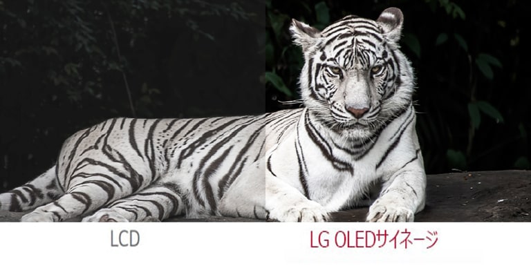 湾曲可能なフレキシブルな有機ELモニター - 55EF5K-P | LG JP 湾曲可能なフレキシブルな有機ELモニター - 55EF5K-P | LG JP