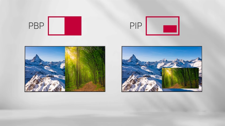 マルチ画面表示(PBP / PIP)