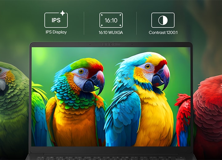 この画像は、LG gram Bookノートパソコンのディスプレイの正面図で、鮮やかな色彩と精細なディテールを強調するために、緑色の背景にカラフルなオウムが描かれています。 画面上部には、IPSディスプレイ、16:10 WUXGA解像度、1200:1のコントラスト比など、主要なディスプレイ仕様を示すアイコンがあり、鮮明なビジュアル、正確なディテール、強化されたコントラストを強調しています。
