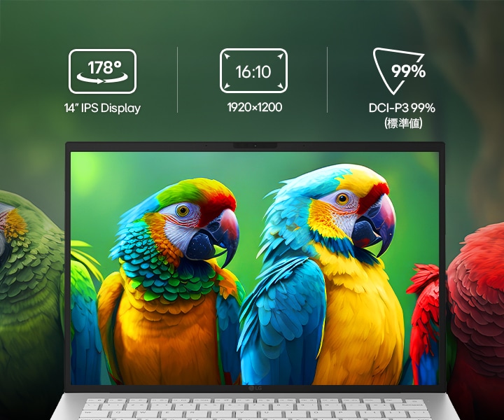 This image shows the display of the gram 14 inch laptop from the front, featuring colorful parrots set against a light green background, highlighting vivid colors and fine detail. Above the screen, icons represent key display specifications, including DCI-P3 99% (Typ.) color gamut, 1200:1 contrast, and 16:10 aspect ratio, indicating the display’s color range, contrast, and aspect ratio.