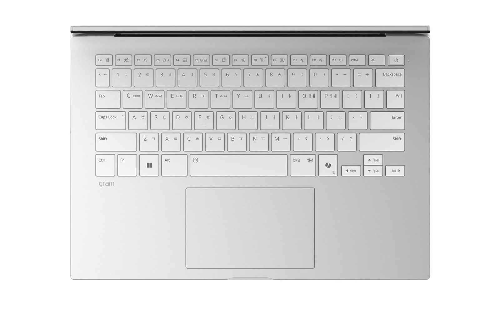 A front view of an LG gram Pro laptop featuring a 14-inch WUXGA display. Icons above the device indicate DCI-P3 99% (Typ.) color gamut, 1200:1 contrast, and 16:10 aspect ratio. The screen shows a vivid, high-contrast image.