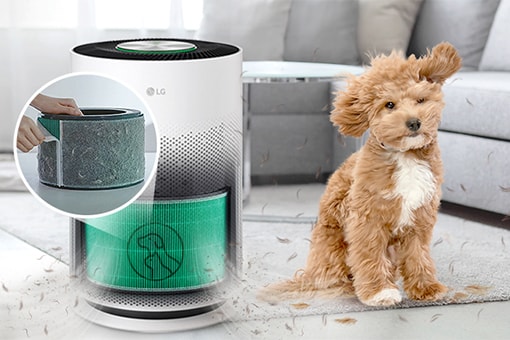 空気中に舞うペットの抜け毛16倍集塵※2