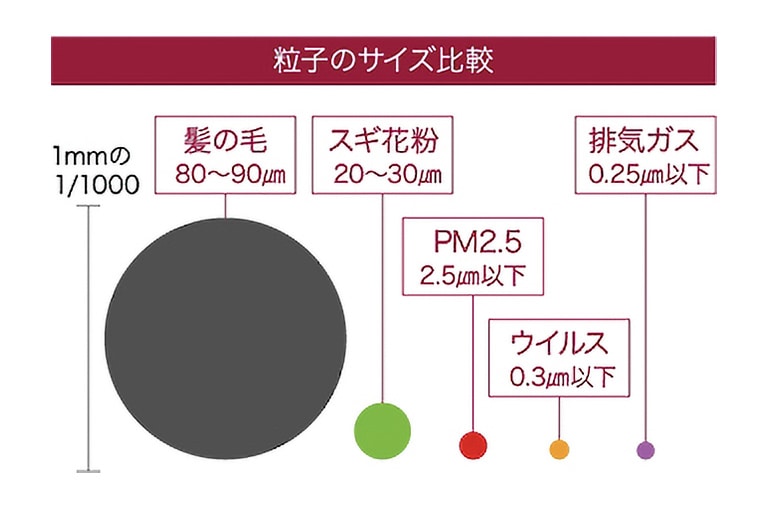 花粉粒子のサイズ比較_02