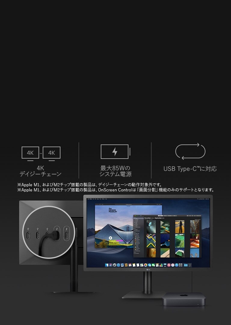 LG ディスプレイ 23.7インチ UltraFine 4K 24MD4KL-B