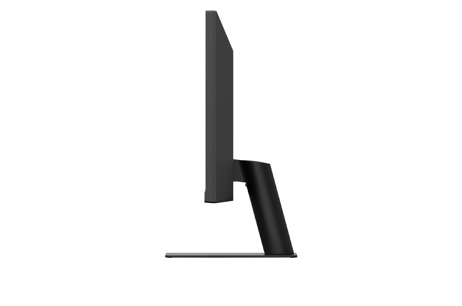 全体画像
