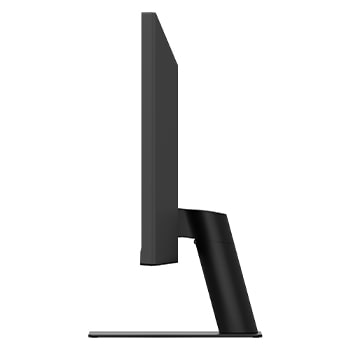 全体画像