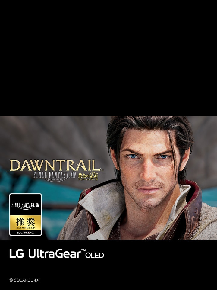 ファイナルファンタジーXIV推奨モニター