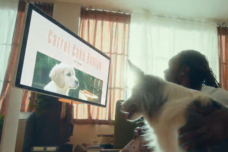 usercase-pet-influencer