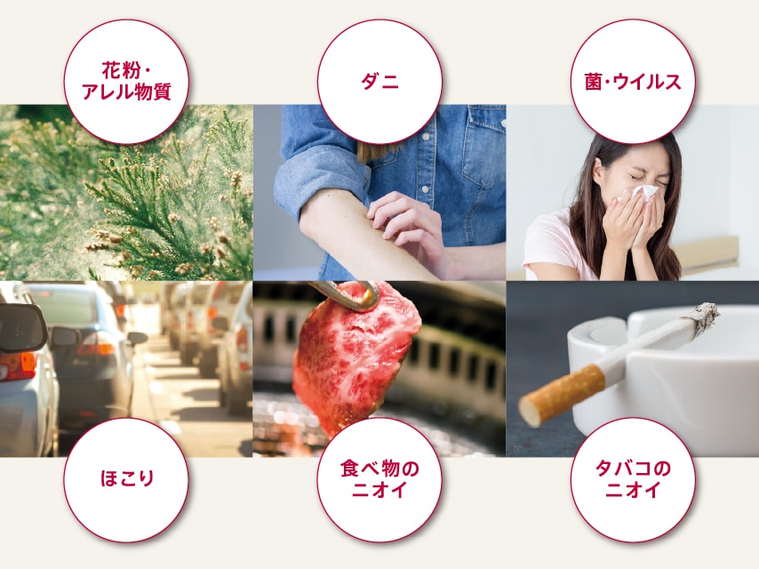 洗えない衣類もボタン1つで簡単リフレッシュ