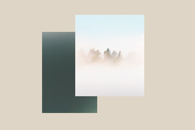 青空を背景に霧の中に立つ木々の風景が広がる。