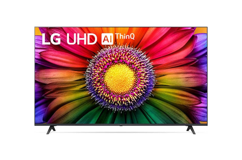LG 65V型 4K液晶テレビ, 65UR8000PJB