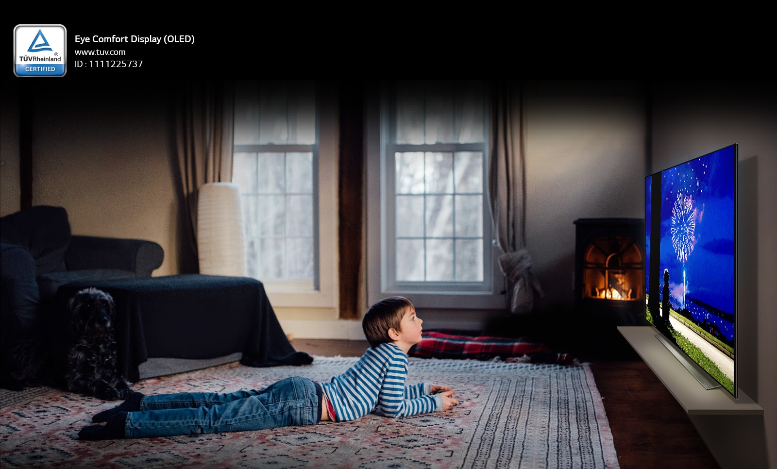 65V型 有機ELテレビ OLED65G1PJA - OLED65G1PJA | LG JP