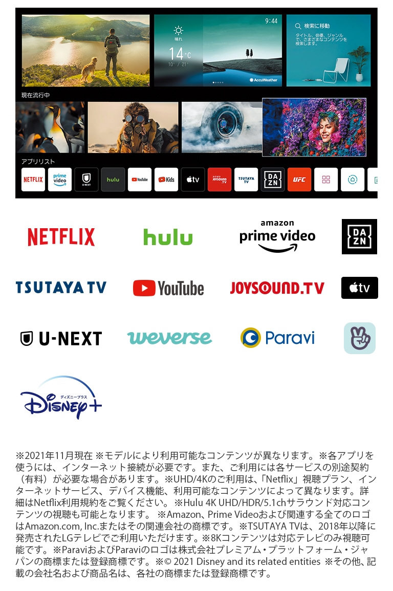 多彩なネット動画アプリに対応