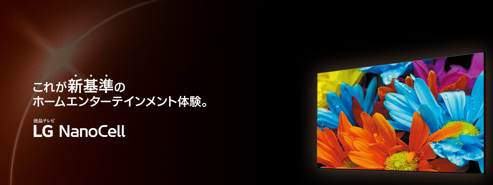 65V型 NanoCell TV 65NANO90JPA - 65NANO90JPA | LG JP