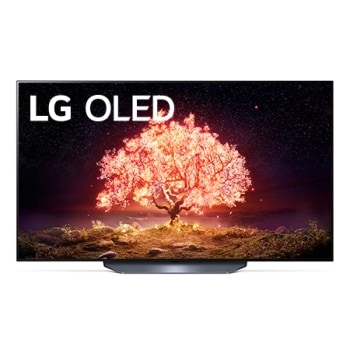 LG OLED55B1PJA.AJLG製品サポート：マニュアル、保証など | LG JP