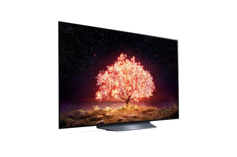 LG 55V型 有機ELテレビ OLED55B1PJA, OLED55B1PJA