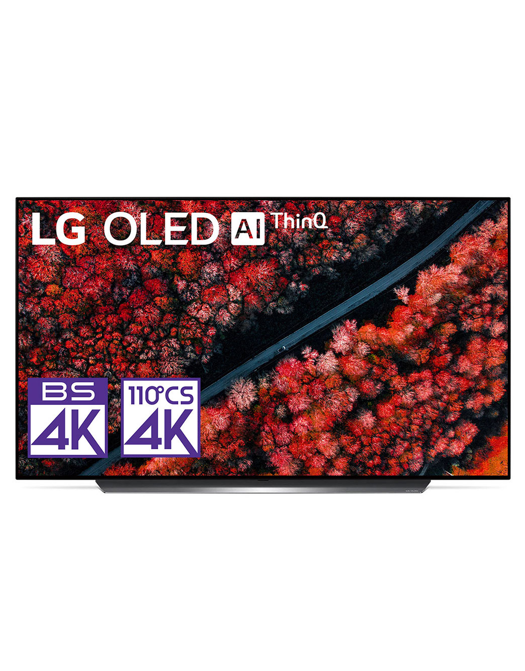 【直接引き取り限定 綾瀬市】2020年製 LG テレビ OLED55C9PJA TV-OLED-65-55-C9-A-Gallery-