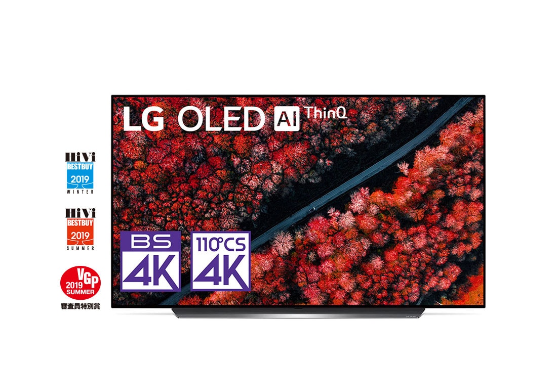 【美品】LG OLED55C9PJA 有機ELテレビ 4K対応 Alexa搭載