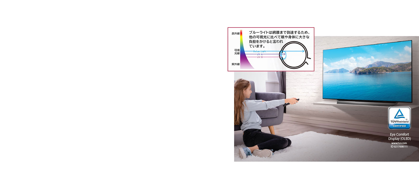 様々なお部屋で4K有機EL画質が楽しめる豊富なサイズラインアップ