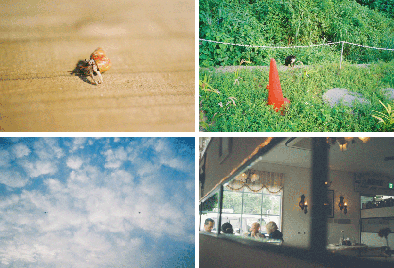 「カメラを持って旅に行くのが大好き。20代の頃は仕事に打ち込んでいたこともあって、一度も旅が出来ていなかったんです。30代になったら絶対に色々なところに行くというのが一つの夢で(笑)。