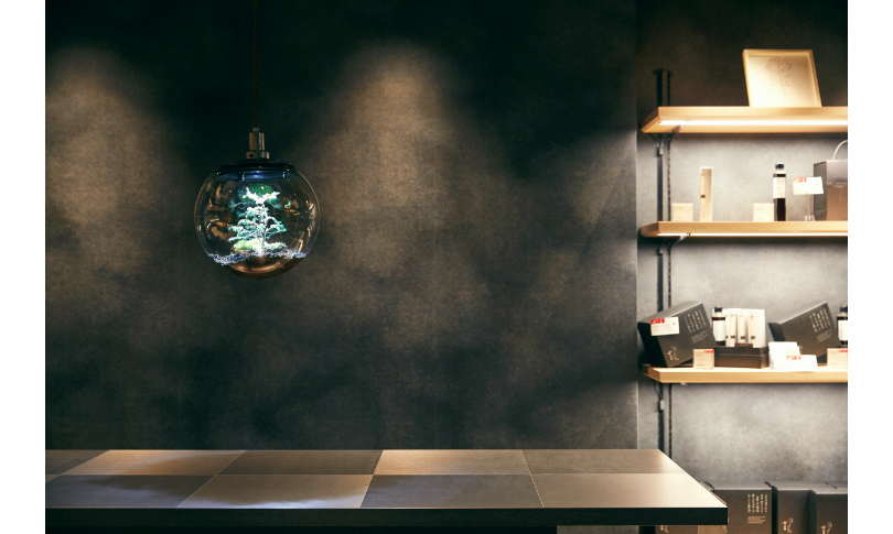 海外でそうめんを広げたい