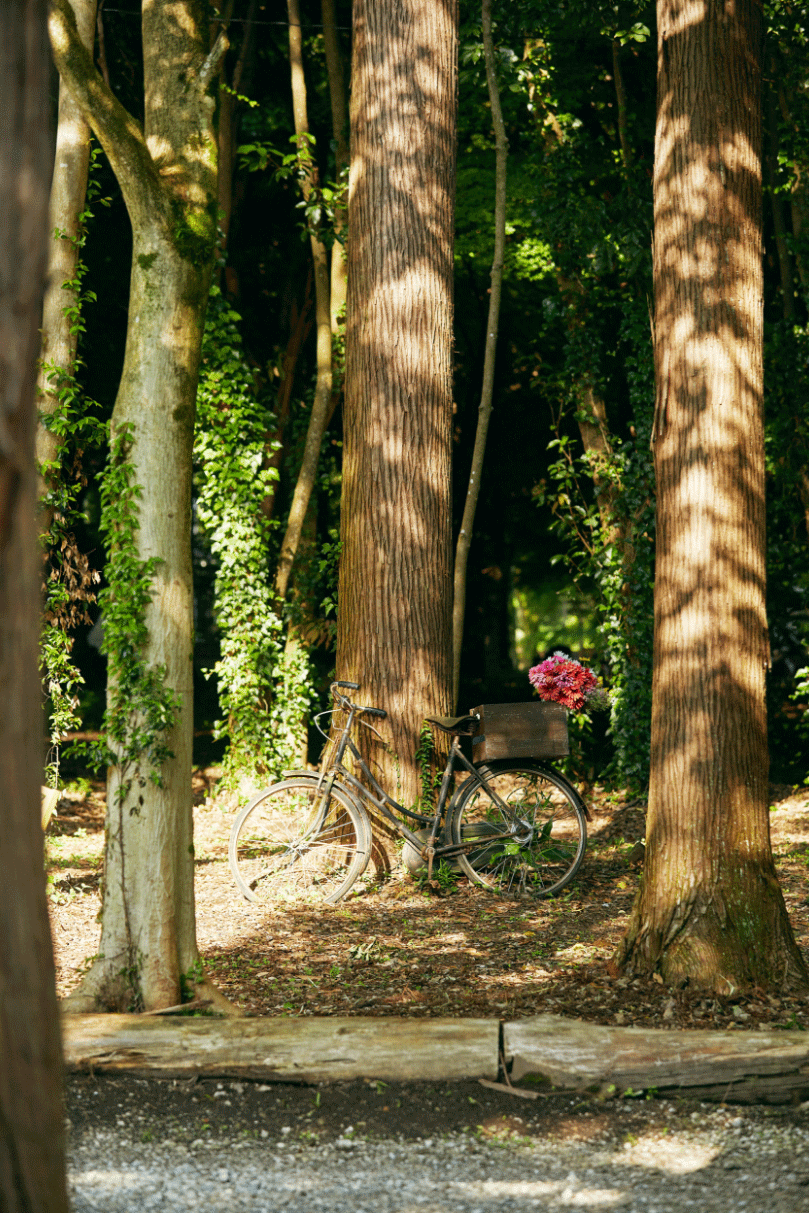 施設内にはバレルサウナも併設。大自然の中、プールで泳ぎながら体を冷やす経験は、なかなかできるものではありません。