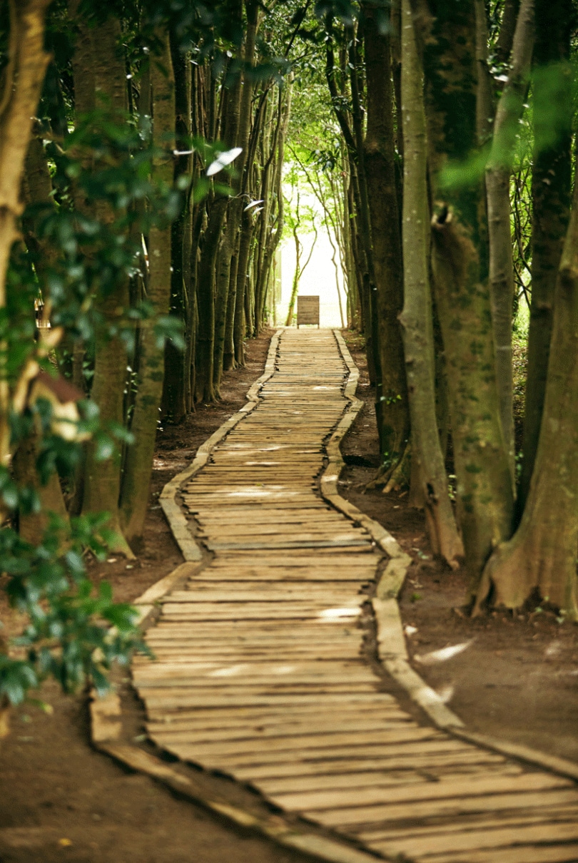クラブハウスからグランピングエリアをつなぐ小道はまるで、現実とは違う世界への入り口のよう。