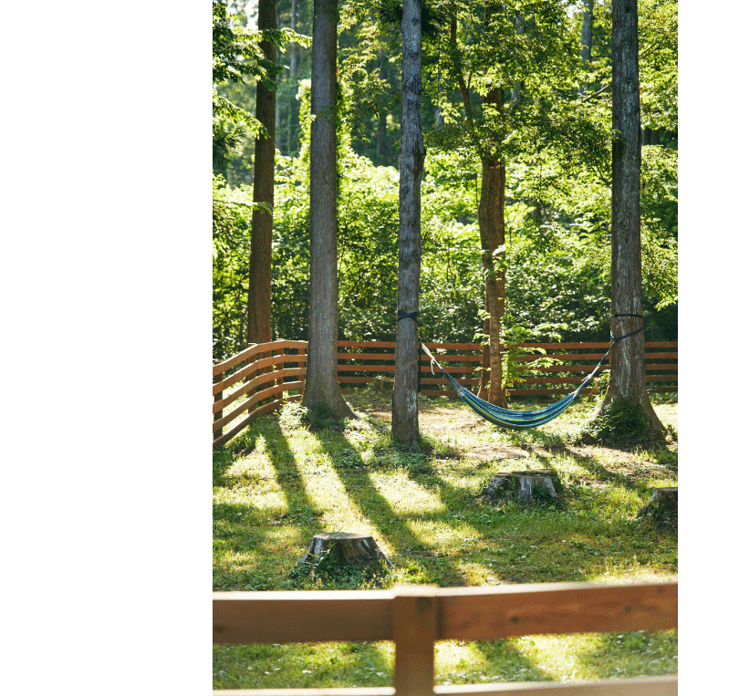 服 除菌 家電 都心から１時間ほどしか離れていない場所でありながらそれを感じさせない、日常を忘れさせてくれる豊かな空間がそこにはあります。