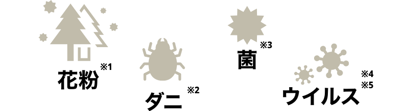 花粉 ダニ 菌 ウィルス