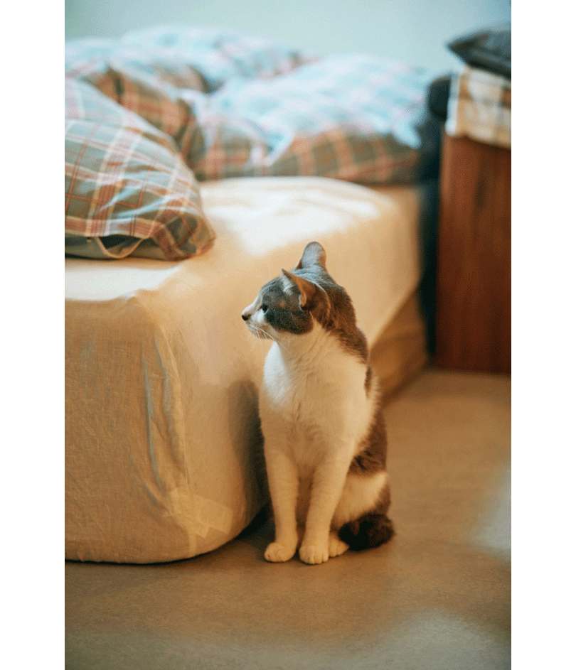 最近では、アパレルブランドを多数展開するアダストリアとコラボレーションしエプロンを作るなど、若い頃から好きだったファッションシーンとの関わりも増えている寺井さん。洋服へのこだわりもひとしおで、今や料理はもちろん彼の着こなしにも注目が集まっている。ただ、ここ数年の間に手にするアイテムにも変化があったとか。