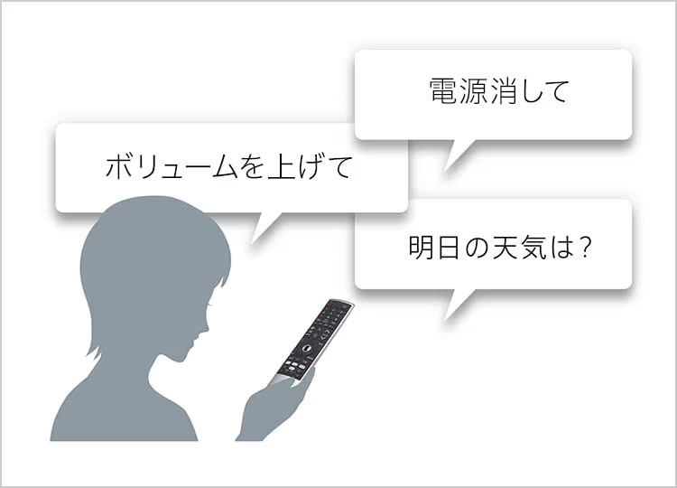 「電源消して」「ボリュームを上げて」「明日の天気は？」