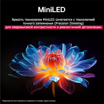 3D holographic flower in many different shades and hues against a black background. The definition and detail of the flower shows off QNED MiniLED's capability to produce visuals with exceptional color, brightness, and contrast. The title talks about how MiniLED enhances clarity and provides exceptional contrast.