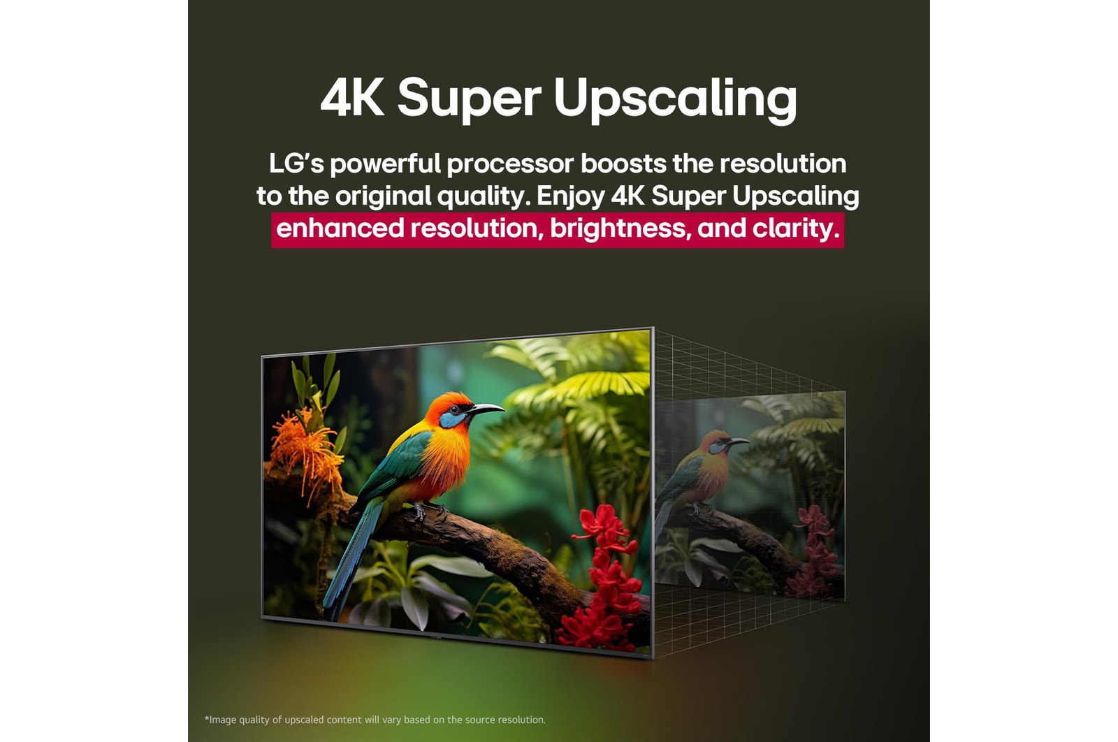 До и после сравнения того, как технология LG 4K Super Upscaling улучшает качество изображения. Две панели с одним и тем же изображением красочной птицы, сидящей на ветке дерева в лесу. Панель справа исчезает. Заголовок рассказывает о том, как 4K Super Upscaling улучшает разрешение, яркость и четкость.