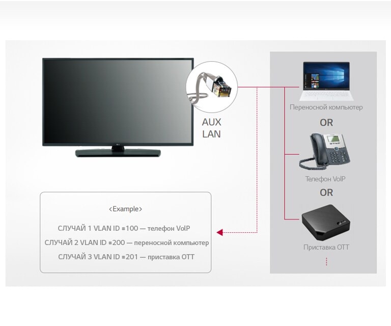 Выход из локальной сети с идентификатором VLAN (виртуальная локальная сеть)