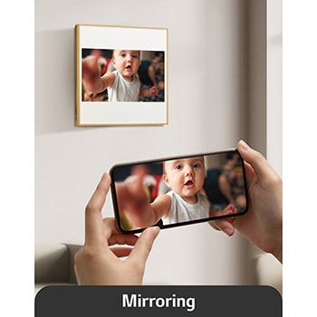 Mirroring view