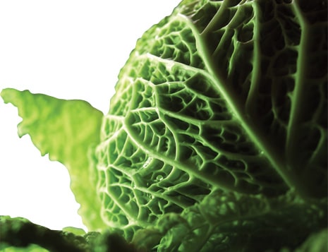 КОНТРОЛЬ ВЛАЖНОСТИ