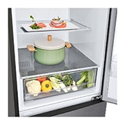 LG 384 л, Холодильник LG DoorCooling+ с нижней морозильной камерой, Смарт Инверторный компрессор, GA-B509CLSL