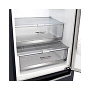 LG 384 л, Холодильник LG DoorCooling+ с нижней морозильной камерой, Инверторный Линейный компрессор, GA-B509SBDZ