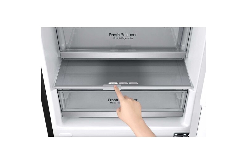 LG 384 л, Холодильник LG DoorCooling+ с нижней морозильной камерой, Fresh Balancer, Fresh Converter, GA-B509SBUM