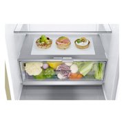 LG 384 л, Холодильник LG DoorCooling+ с нижней морозильной камерой, Инверторный Линейный компрессор, GA-B509SEDZ