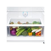 LG 506 л, Холодильник LG  с верхней морозильной камерой, DoorCooling+, фильтр HygieneFresh+, GN-C702SGBM