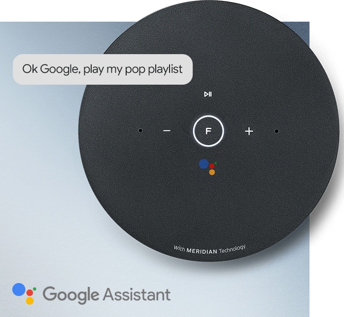 Google Assistant Built-in