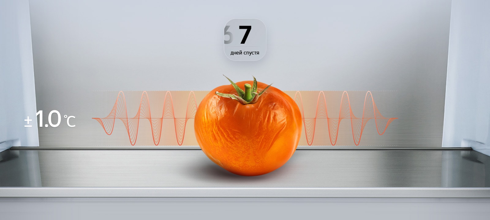 Изображение холодильника LG с морозильной камерой (GC-B640FTBM): увядший после 7 дней помидор с красным графиком колебаний температуры и текстом ±1,0°C	