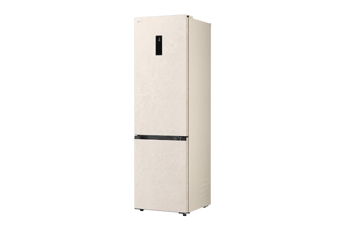 LG bottom freezer (GC-B509EETM) back view showing rear panel