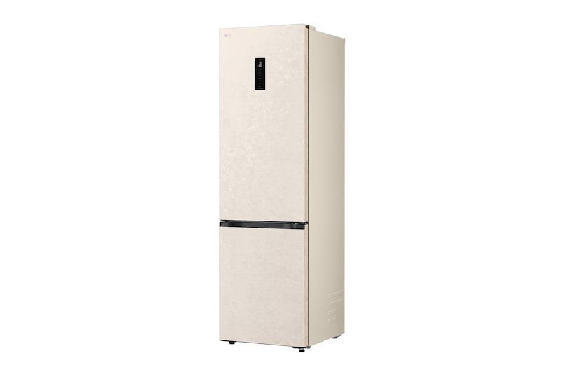 LG bottom freezer (GC-B509EETM) back view showing rear panel