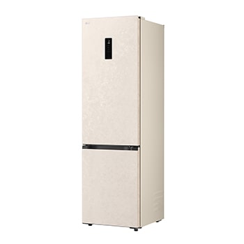 LG bottom freezer (GC-B509EETM) back view showing rear panel