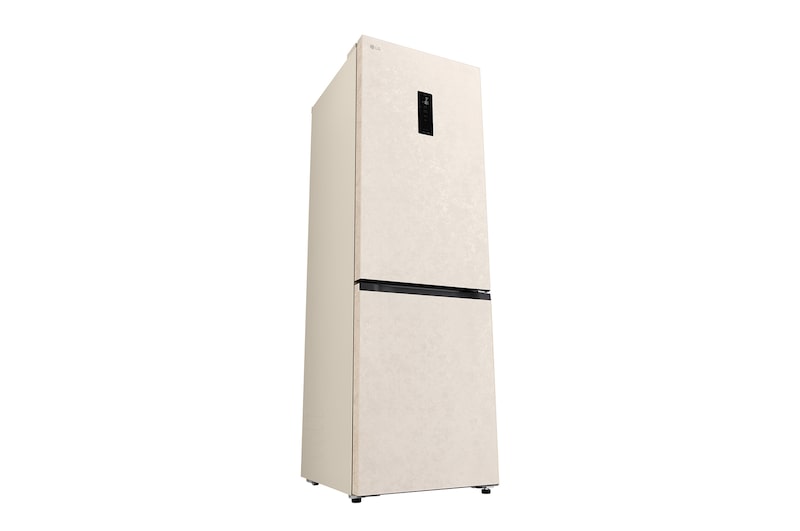 LG bottom freezer (GC-B459EELM) back view showing rear panel